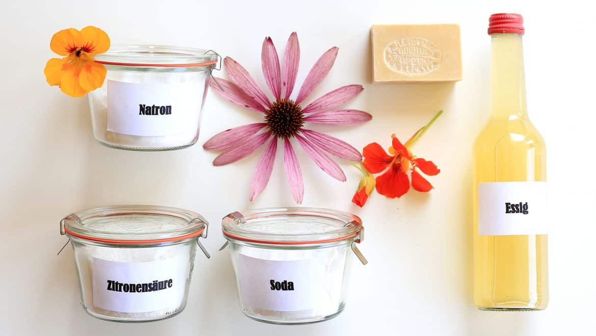 Plastikfreie Reinigungsmittel