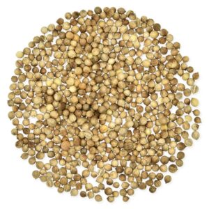 Koriander, ganz (Bio)