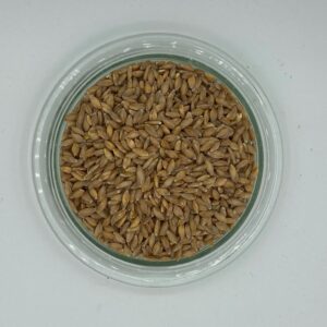 Einkorn (Bio)