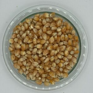 Popcorn-Mais (Bio)